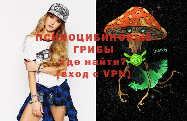 герыч Богородицк